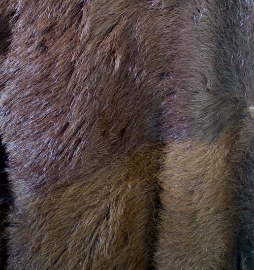 Bear fur - Courtesy of thespectrum