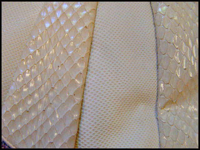 Snake skin belly and back - Courtesy of daisyfairbanks