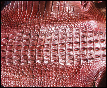 Crocodile skin - Courtesy of thesouthwedge