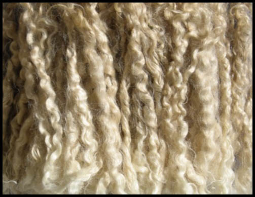 Goat mohair - Courtesy of thesouthwedge