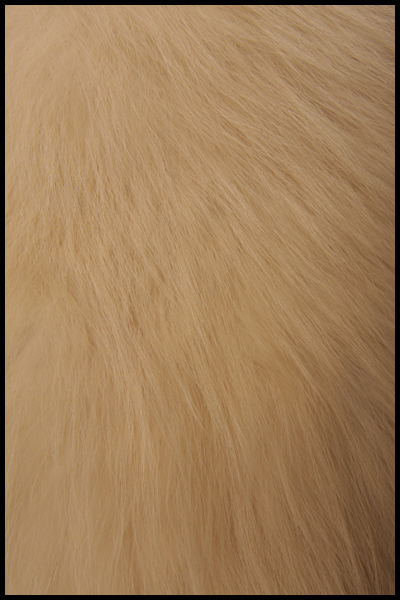 Artic fox fur - Courtesy of circavintageclothing.com