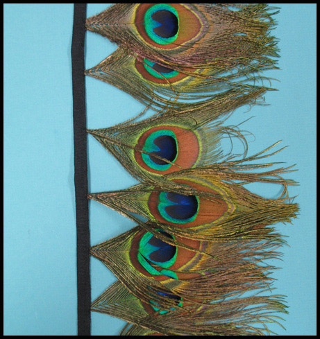 Peacock eye feathers - Courtesy of lamplight feathers