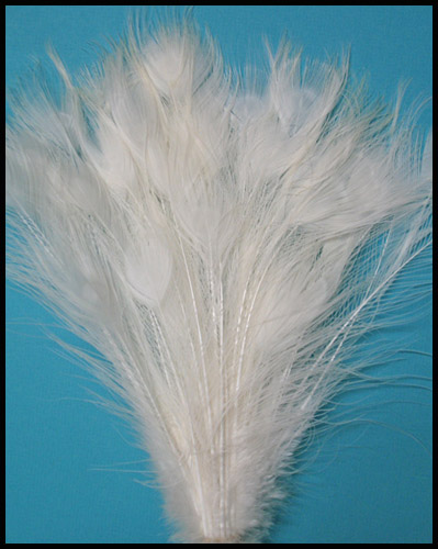 Peacock natural white feathers - Courtesy of lamplight feathers