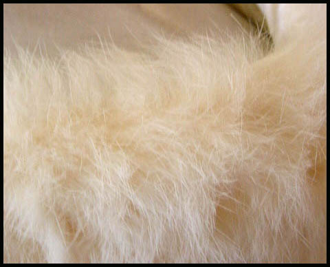Rabbit fur - Courtesy of daisyfairbanks