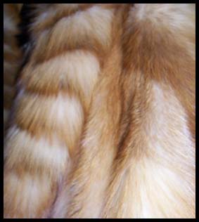 Red fox fur - Courtesy of dorotheasclosetvintage.com