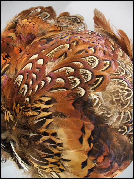 Pheasant feathers - Courtesy of hatfeathersvintage