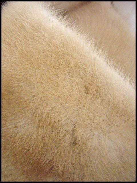 Blonde mink fur - Courtesy of daisyfairbanks