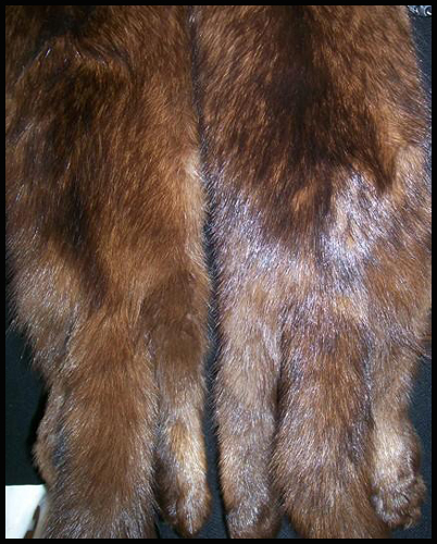 Sable fur - Courtesy of dorotheasclosetvintage.com