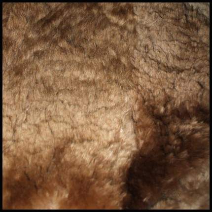 Sheared beaver - Courtesy of clubvintage
