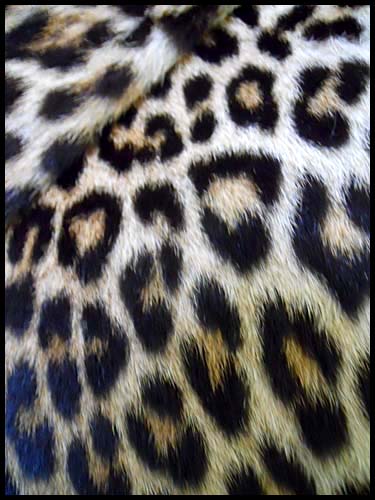 Leopard fur - Courtesy of dorotheasclosetvintage.com