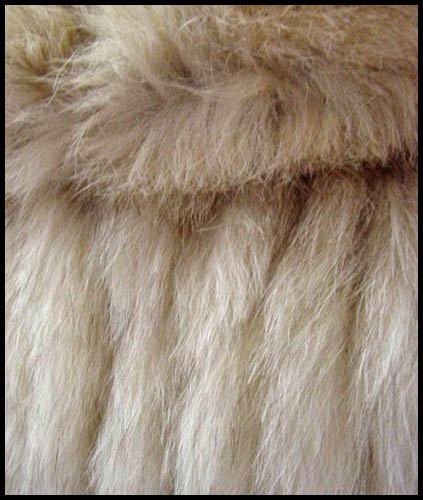 Fox fur - Courtesy of daisyfairbanks