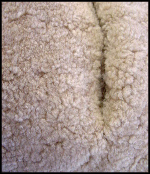Sheared shearling lamb - Courtesy of daisyfairbanks