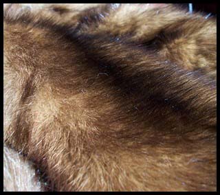 Sable fur - Courtesy of dorotheasclosetvintage.com