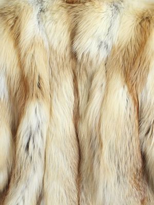 Kit fox fur - Courtesy of furwise.com