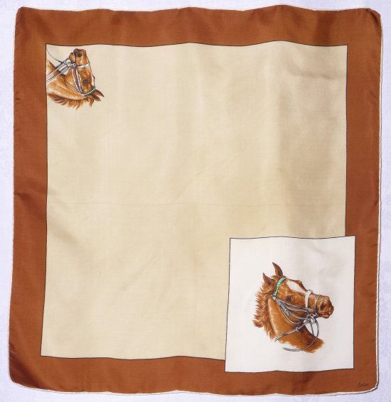 clothesline horsescarf