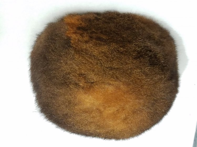 Australian Ringtail possum fur  - Courtesy of Auntie Establishment