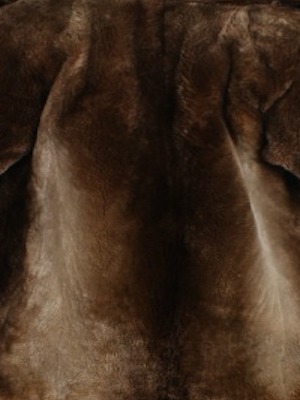 Sheared beaver fur - Courtesy of furwise.com