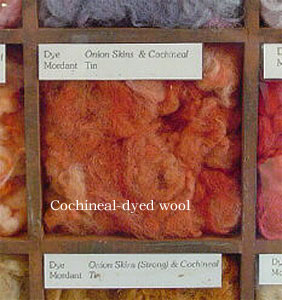 Cochineal dyed wool
