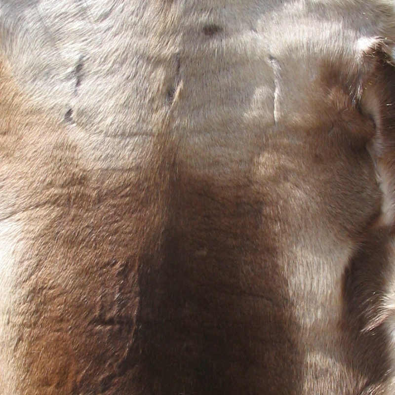Caribou fur